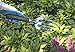 Joseph Bentley Traditional Garden Tools Stainless Steel Hand Fork