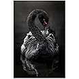 COTAIL Unframed Canvas Wall Art For Bedroom Office Wall Decor, Black Swan Wall Decorations For Living Room Painting Pictures 18x12in Artwork For Modern Posters Prints Home Decor
