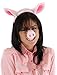 Pig Nose Ears and Tail Set