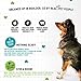 I and love and you Stir & Boom Dehydrated Freeze Dried Raw Dog Food, Lamb, 1.5-Pound Bag