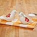 Pioneer Woman Novelty Birds Ceramic Salt & Pepper Shaker Set
