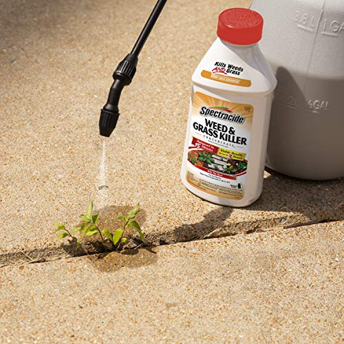 Spectracide Weed And Grass Killer Concentrate 16 Ounces, Use On Patios