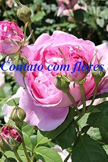 Livro Contato com flores