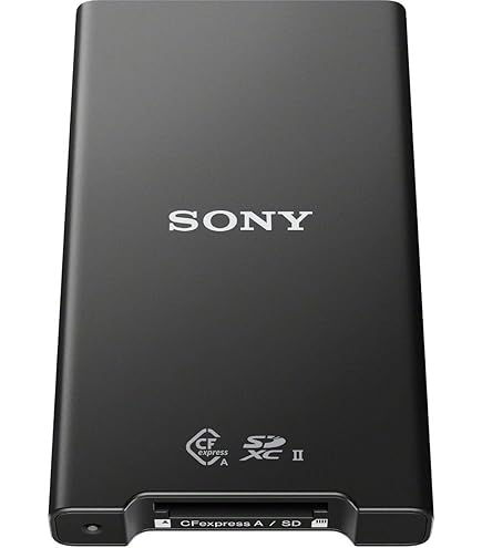 Amazon.com: Sony CEA-G160T 160GB compact flash card CFexpress Type 