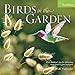 Audubon Birds in the Garden Wall Calendar 2020 by