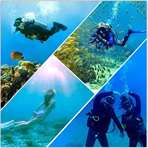 Charlemain Dry Snorkel Set, HD Panoramic View, Anti-Fog and Anti-Leakage, Adjustable, Safe material, Scuba Diving Mask for Professional Snorkeling Adults