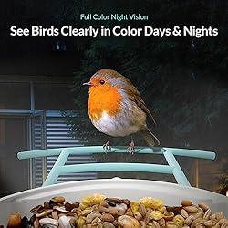 NETVUE Birdfy Lite - Smart Bird Feeder with Camera