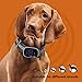 BRISON Dog Bark Collar - 3 Modes Beep Vibration Static Shock - Rechargeable Waterproof Anti Bark Collar for Small Medium and Large Dogs 