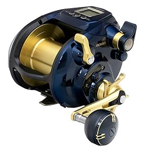 Shimano Beastmaster A Moulinet électrique