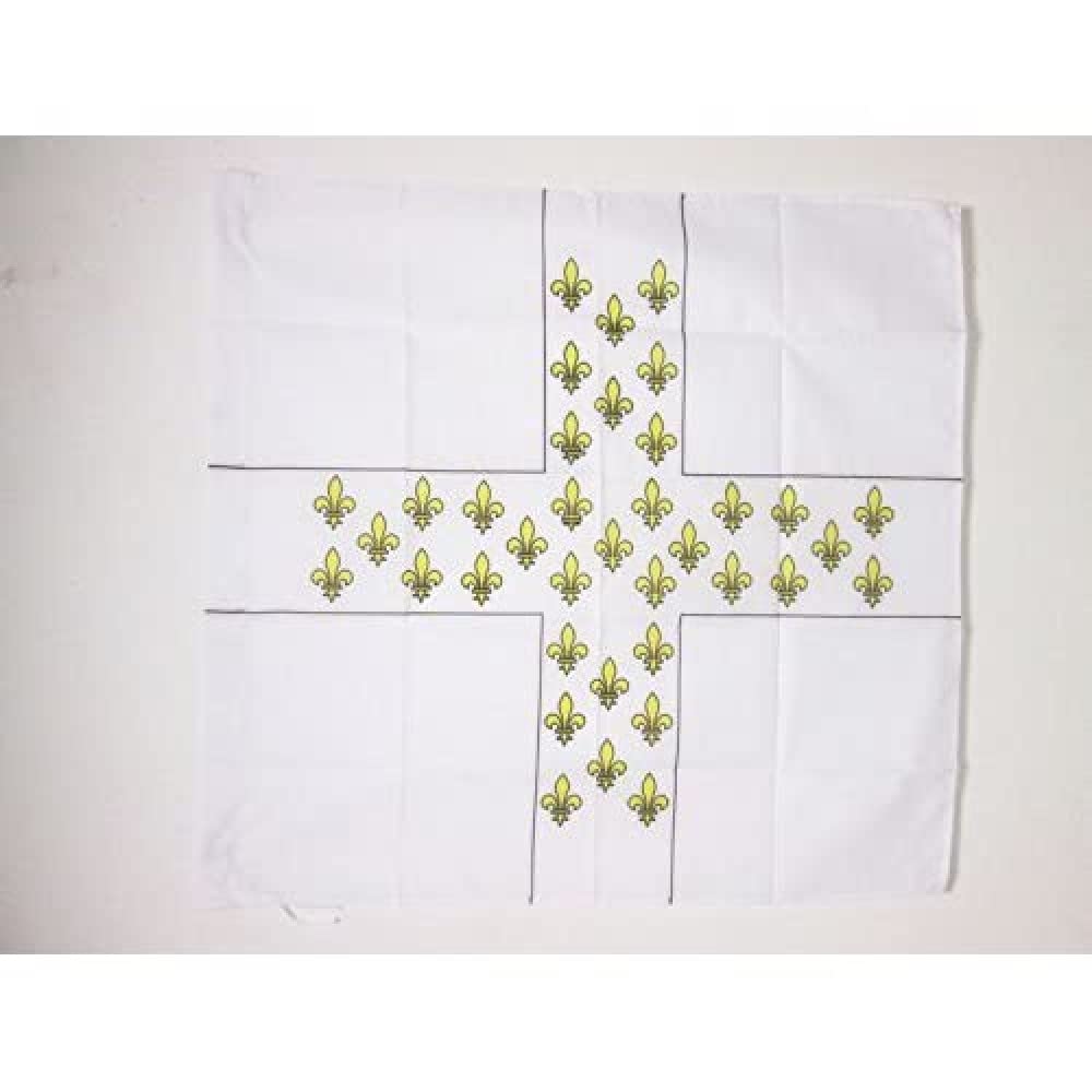 French Empire Infantry Regiment Colonel Armagnac 1776-1791 Flag 3' x 3' for a pole - Army of France flags 90 x 90 cm - Banner 3x3 ft with hole - AZ FLAG