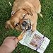 Nature Gnaws Tendons for Large Dogs - Premium Natural Beef Sticks - Simple Single Ingredient Tasty Dog Chew Treats - Rawhide Free - 7-11 Inch (6 Count)