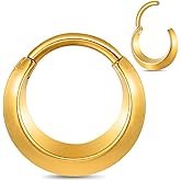 MOQIKAKA Nose Rings Hoops 16G: 316L Stainless Steel Septum Rings Hoops Gold, Hinged Segment Nose Lips Helix Cartilage Clicker Hoop Earrings Piercing Rings for Women Men 8mm