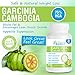 Garcinia Cambogia Extract with 75% HCA - The Ultimate Natural Fat Burner, Carb Blocker & Weight Loss Supplement - 60 or 180 Capsules - **Act Now for Our Special Limited Time Offer for our Best Weight Loss Diet Kit!**