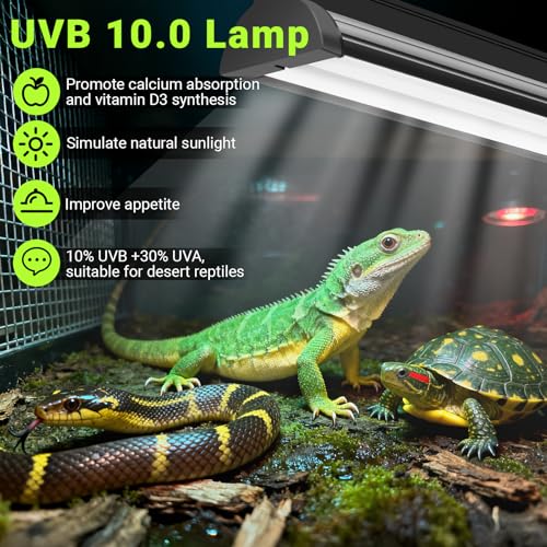 Jellybibo 8W T5 UVB Light Reptile Kit, 10% UVB & 30% UVA for Tropical Desert Reptiles, 31.5cm (12.4in) High Output Fixture with T5 10.0 UVB Tube for Bearded Dragon, Lizard, Tortoise & Gecko