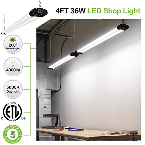 1 Hykolity+Linkable+Workshop+Workbench+Equivalent