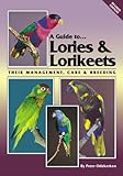 A Guide to Lories and Lorikeets (Revised Edition) : Their Management, Care and Breeding, Odekerken, Peter, 0957702442