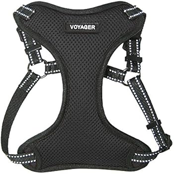 Voyager Step-in Flex Dog Harness - All Weather Mesh, Step in Adjustable Harness for Small and Medium Dogs by Best Pet Supplies - Black, Small