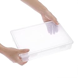BTSKY Clear Plastic Storage Box with Flap