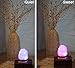 ESOW USB Salt Lamp Mini with Wooden Base Multi Color Changing Small Air Purifier about 5 Inches 1.5 lbs No Installation Required Great Decor For Office Home Hotel Yoga, Relieves Anxiety and Relaxing