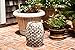 Patio Sense 62419 Maya Oval Garden Stool, Natural