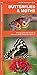 Butterflies & Moths: A Folding Pocket Guide to Familiar North American Species (A Pocket Naturalist Guide)