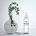 Luxury Eucalyptus Oil Steam Shower Spray, Best Mist Essential Oil for Spa Room, Showers and Baths (Eucalyptus, 8oz)thumb 3