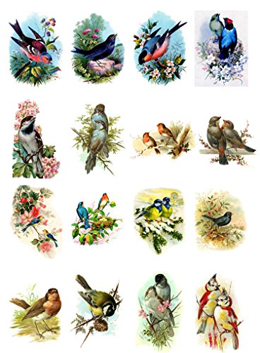 decoupage amazon Decoupage Napkins: Paper Amazon.com decoupage amazon Decoupage Napkins: Paper Amazon.com