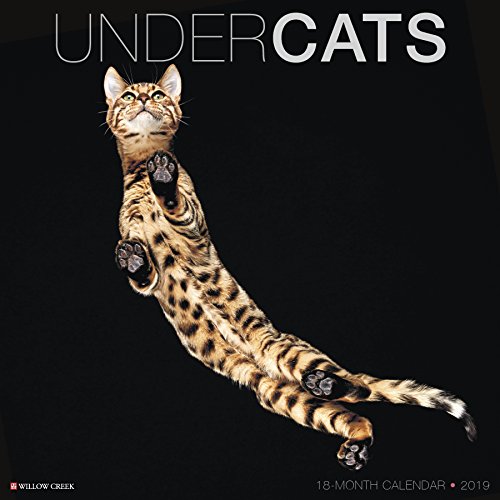 Undercats 2019 Wall Calendar by 