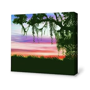 SIGNFORD Canvas Wall Art for Living Room,Bedroom Home...