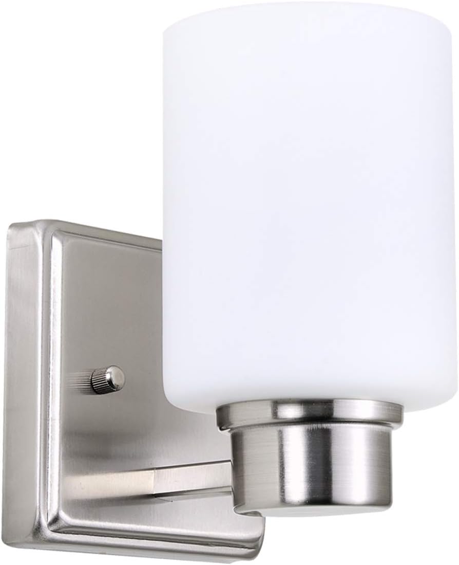 Best Progress Lighting Lucky 2 Light Brushed Nickel