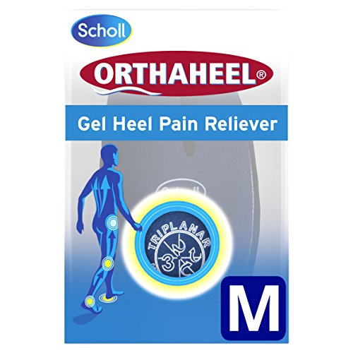 top 10 wwe wrestlers 2018