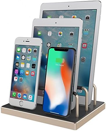 4-Port Charge Station, Reflying Aluminum Charging Dock Charge Stand Organizer w/ 4 Lightning Plug [MFi Certified] for iPhone, iPad, iPad Pro, Airpods, Gold