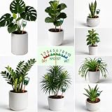 Antonki 2 Pack Plant Water Meter Soil Moisture Hygrometer Sensor Kit view 5