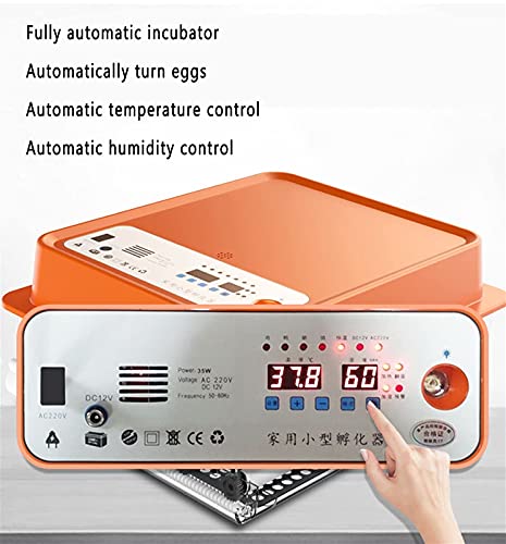 FHISD Inkubator Digital Hatcher Automatische Brutmaschine mit automatischer Wendefunktion mit LED-Beleuchtung… – Bild 3