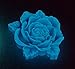 Glow in The Dark Pigment Powder - Neutral and Fluorescent Color for Art Painting, Fine Art, Nail Art Paint, and DIY Crafts - Long Lasting, 10+ Color Options - Fluorescent Blue - (60 Grams/ 2.12 oz)