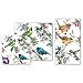 Michel Design Works 20-Count 3-Ply Paper Luncheon Napkins, Bird Song