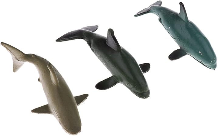 Amazon 海の生き物 おもちゃん サイエンス 知育 学習玩具 教育玩具 装飾品 約12個 素晴らしい 生物 動物 人体 おもちゃ