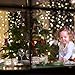 Homestarry HS-SL-010 Dimmable String Lights Pro, 240 LED's Copper Wire, with Wireless Handheld Remote Control, 12V Power Adapter, 40-Feet - Warm White