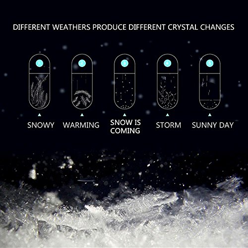 Storm Glass Weather Forecaster Bottle, niceEshop(TM) Water Droplets Weather Barometer Ornaments, Crystal Bottle for Home Office Decoration