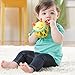 Skip Hop Baby Rattle Toy, Explore and More Roll Around Rattle, Bee