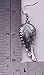 Women's Dangle Earrings