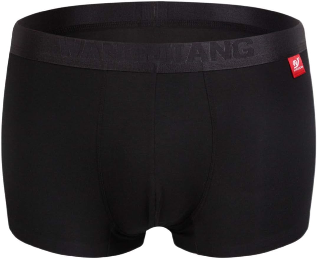 Naturemore Men's Underwear Micro Modal Separate Pouches Trunks with Fly