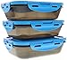 6 Pack Fitness Sure Seal Meal Prep Containers Set of 3 20oz (Black/Neon Blue)