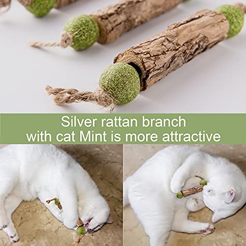 MIMIMOMO Catnip Toys for Cats Silvervine Sticks for Cats Interactive Cat Toys for Indoor Cats