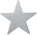 Star Cutouts | Silver | Party Decor | 40 Ct.
