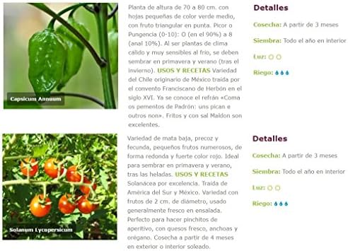 Huerto Urbano KIT Cultivar Hortalizas en Casa – Mesas Cultivo ...