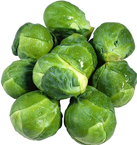 PlenTree Brussels Sprouts 1000 Seeds Non Gmo Ez Grow Combsh E18