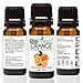 BioFinest Orange Oil - 100% Pure Orange Essential Oil - Premium Organic - Therapeutic Grade - Best For Aromatherapy - Boost Immune System - Mood Lifting - FREE E-Book (10ml)