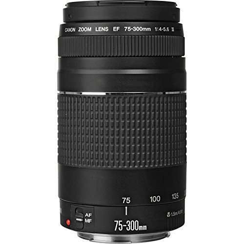 Canon EF 75-300mm f/4-5.6 III Zoom Lens for Canon EOS 7D, 60D, EOS Rebel SL1, T1i, T2i, T3, T3i, T4i, T5i, XS, XSi, XT, XTi Digital SLR Cameras + RADIO ELECTRONICS USA Micro Fiber Cleaning Cloth