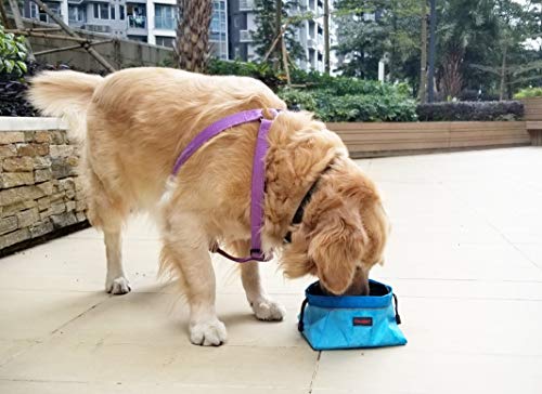 Mr. Peanut's 3 Piece Doggie Playtime Toy & 68oz Collapsible Travel Water Bowl Set Including Durable Chewproof & Weatherproof Flying Disc and Ring Toss